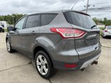 Used 2014 Ford Escape SE image 3