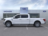 New 2025 Ford F150 XLT w/ Equipment Group 302A MID image 3