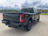 New 2025 Ford F250 Platinum image 4
