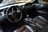 Used 2008 Ford Mustang Shelby GT500 image 6