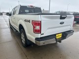 Used 2019 Ford F150 XLT w/ Equipment Group 302A Luxury image 5