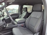 New 2025 Ford F150 STX w/ STX Black Appearance Package image 4