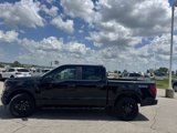 Certified 2024 Ford F150 STX w/ STX Black Appearance Package image 5