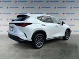 Used 2024 Lexus NX 350 AWD image 5