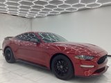 Used 2023 Ford Mustang Coupe image 5