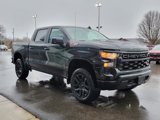 New 2025 Chevrolet Silverado 1500 Custom Trail Boss w/ Turbomax Blackout Package image 2
