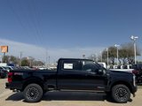 New 2025 Ford F250 Platinum image 4