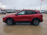 New 2025 Ford Escape ST-Line Elite w/ Tech Pack #1 image 4