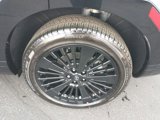 New 2025 Hyundai Santa Fe Calligraphy image 6
