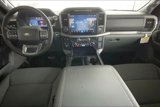 New 2025 Ford F150 XLT w/ Equipment Group 303A High image 5