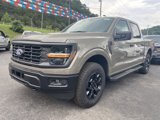 New 2025 Ford F150 STX image 3