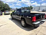 Used 2005 Dodge Dakota SLT w/ Sport Appearance Group image 5