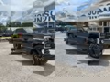 New 2025 Ford F250 Platinum image 2