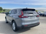 New 2025 Honda CR-V EX-L image 5