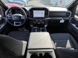 New 2025 Ford F150 XLT image 2
