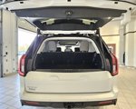 New 2025 Ford Expedition Active image 6