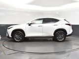 New 2026 Lexus NX 350 AWD w/ Premium Package image 4