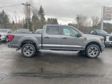 New 2025 Ford F150 STX w/ Equipment Group 200A image 4