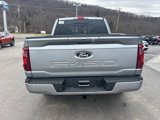 New 2025 Ford F150 XLT w/ Equipment Group 302A MID image 6