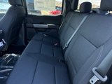 New 2025 Ford F150 XLT w/ Equipment Group 301A Standard image 6