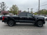 Used 2024 Ford F250 Platinum image 5