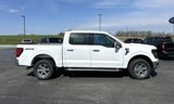 New 2025 Ford F150 XLT image 2