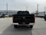 New 2025 Ford F150 XLT w/ Equipment Group 302A MID image 4