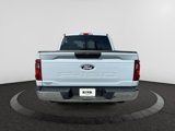 New 2025 Ford F150 XLT w/ Equipment Group 301A Standard image 5