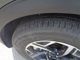 Used 2024 Kia Sportage LX image 6