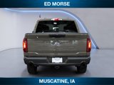 New 2025 Ford F150 STX w/ Equipment Group 201A FX4 image 4