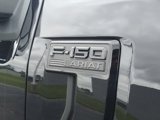 New 2025 Ford F150 Lariat w/ Equipment Group 502A High image 5