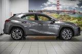 Certified 2024 Lexus UX 250h FWD image 5