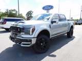 New 2025 Ford F150 Lariat w/ Equipment Group 502A High image 2