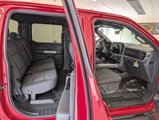 New 2025 Ford F150 XLT w/ Equipment Group 301A Standard image 6