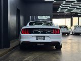 Used 2022 Ford Mustang GT Premium w/ Equipment Group 401A image 6