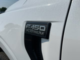 New 2025 Ford F150 Platinum image 6