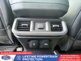 New 2025 Ford F150 XLT w/ Equipment Group 303A High image 5