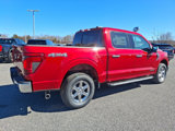New 2025 Ford F150 XLT image 4