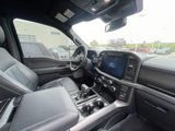 Used 2024 Ford F150 XLT image 5