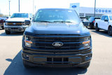 New 2025 Ford F150 XLT w/ Equipment Group 302A MID image 3