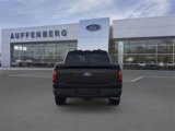 New 2025 Ford F150 XLT w/ Equipment Group 302A MID image 5