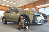 Used 2023 Subaru Outback Premium w/ Popular Package #1 image 2