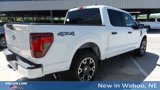 New 2025 Ford F150 STX image 5