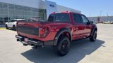 New 2025 Ford F150 Raptor image 4