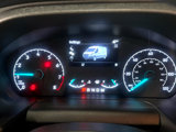 Used 2020 Ford Transit 250 XL w/ Load Area Protection Package image 4
