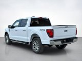 New 2025 Ford F150 XLT image 5
