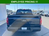 New 2025 Ford F150 XLT w/ Equipment Group 301A Standard image 6