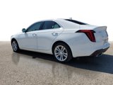 Used 2023 Cadillac CT4 Luxury w/ Sun And Sound Package image 3