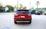 Used 2021 Ford Escape SEL image 6