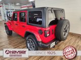 Certified 2023 Jeep Wrangler Sahara image 4